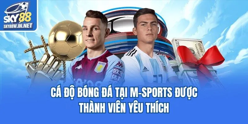 Cá độ bóng đá tại M-Sports được thành viên yêu thích