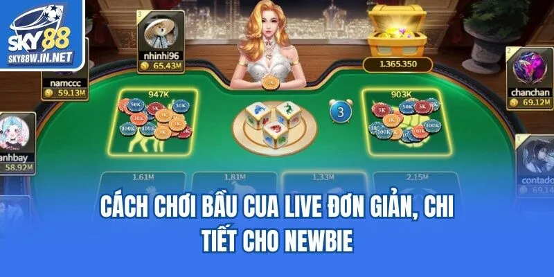 Cách chơi bầu cua live đơn giản, chi tiết cho newbie