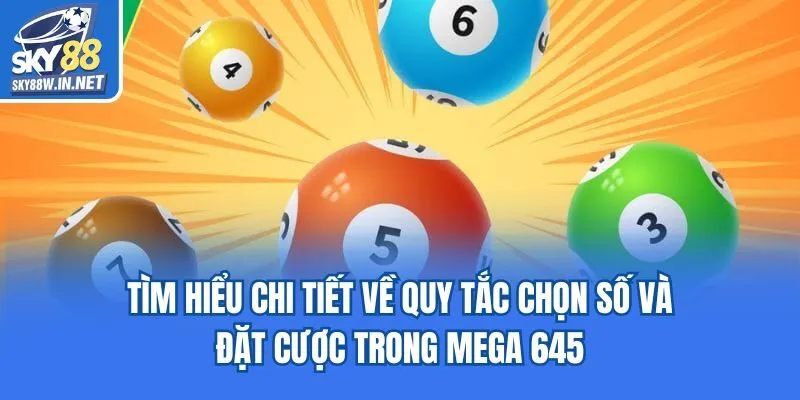 Tìm hiểu chi tiết về quy tắc chọn số và đặt cược trong Mega 645