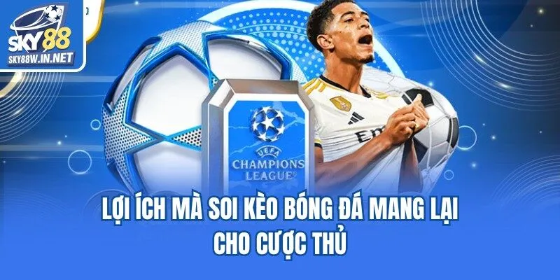 Lợi ích mà soi kèo bóng đá mang lại cho cược thủ