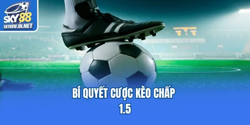 Bí quyết cược kèo chấp 1.5