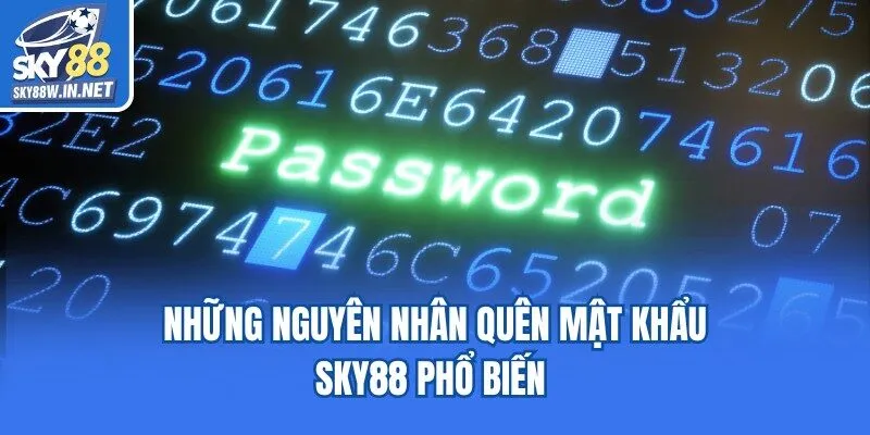 Những nguyên nhân quên mật khẩu Sky88 phổ biến 
