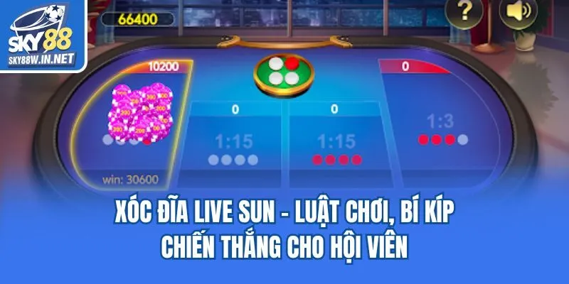 Xóc Đĩa Live Sun - Luật Chơi, Bí Kíp Chiến Thắng Cho Hội Viên